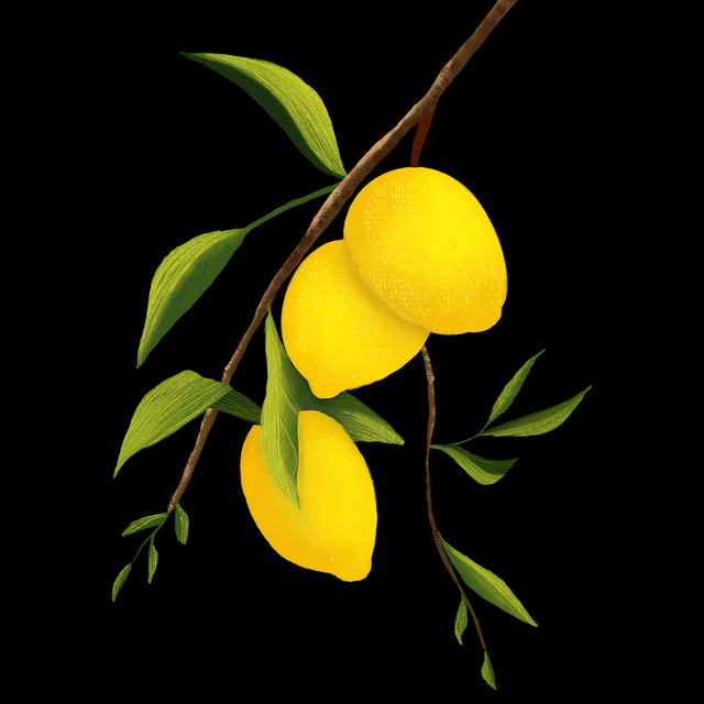 蘑菇视频高清安装看片利器(官方版)