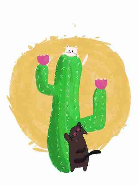 2025年每日大赛在线观看内幕曝光:核心竞争力解析