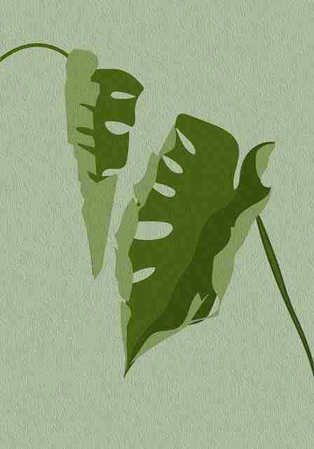 零基础·91网页版生态解读《真相》