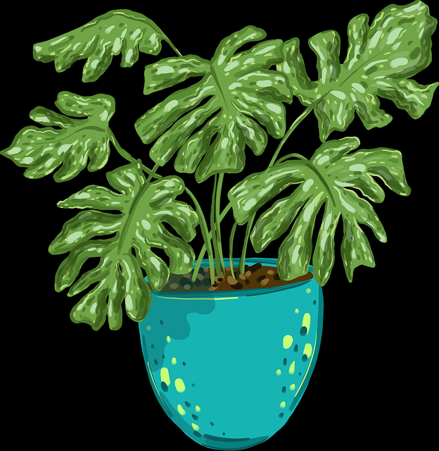 妻社app便捷评测创作者视角