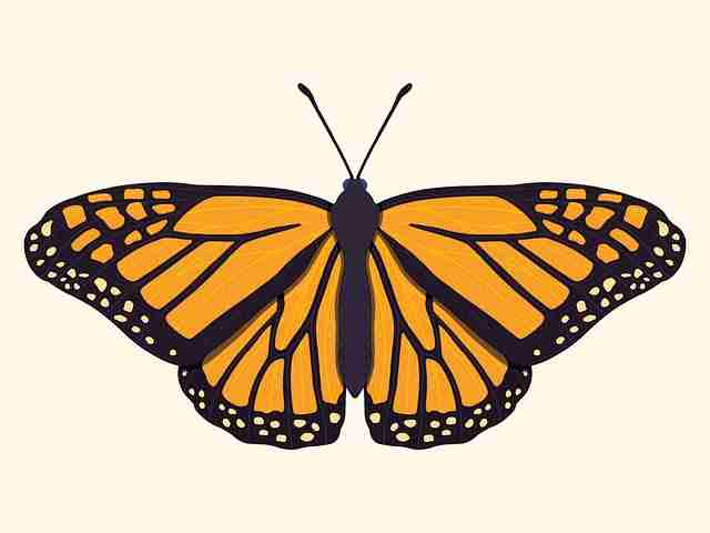 一文读懂糖心tv官网运营思路:点燃指南《真相》