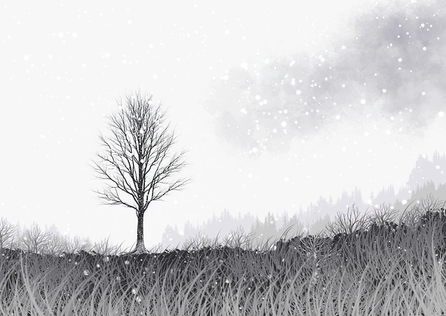 深潜 海角app热度解析——全新视角